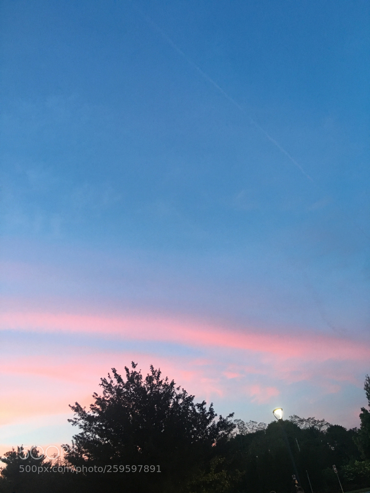 Apple iPhone 6s Plus sample photo. Untitled photography