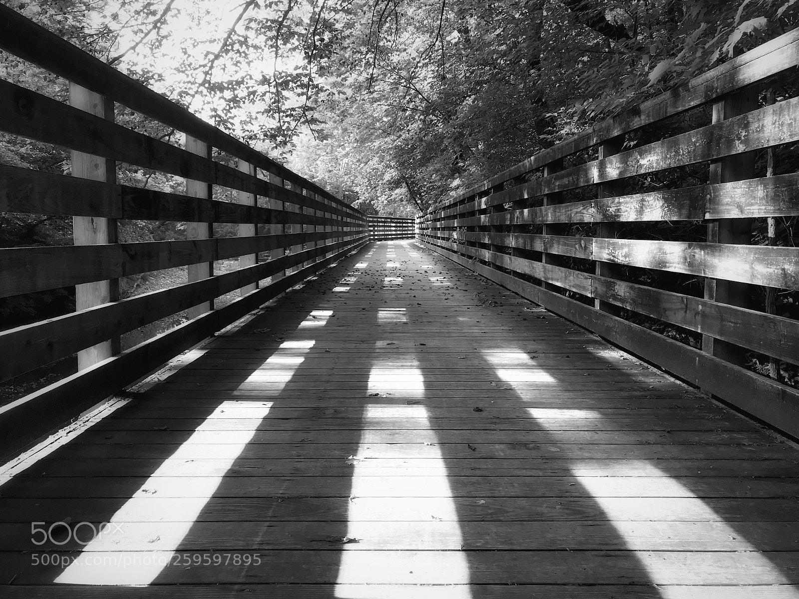 Apple iPhone 7 Plus sample photo. Light unto my path photography