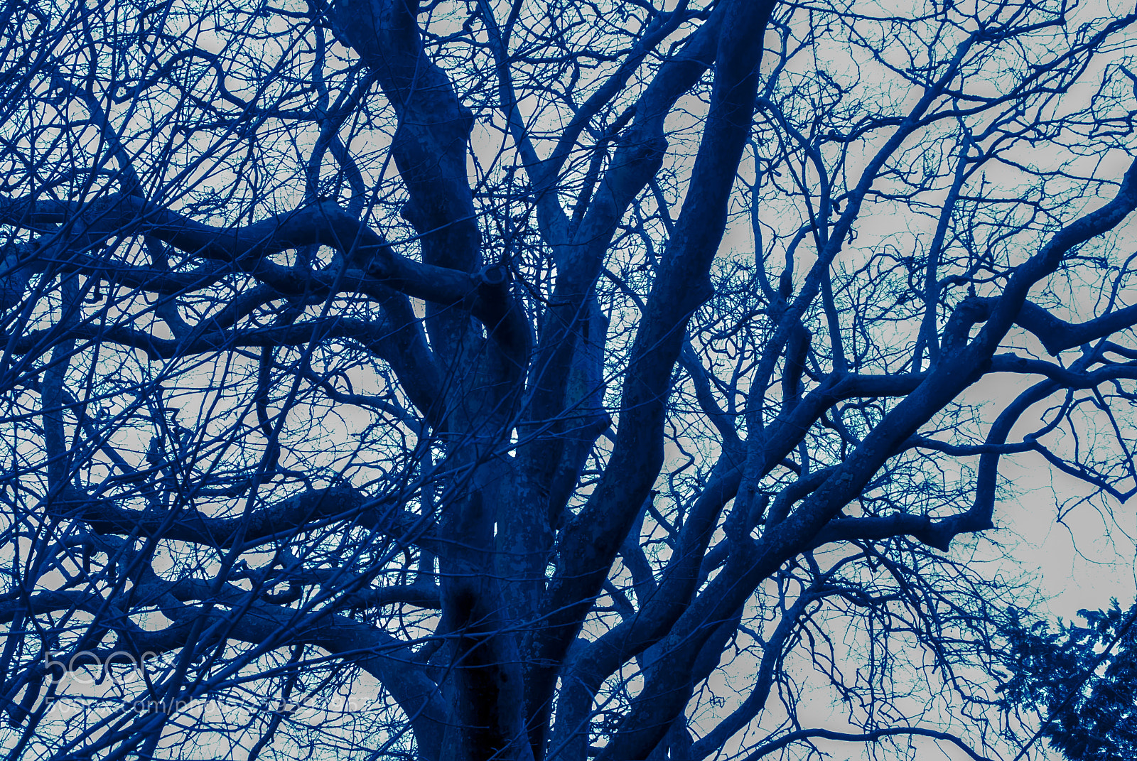 Nikon D200 sample photo. Tearing the sky apart () photography