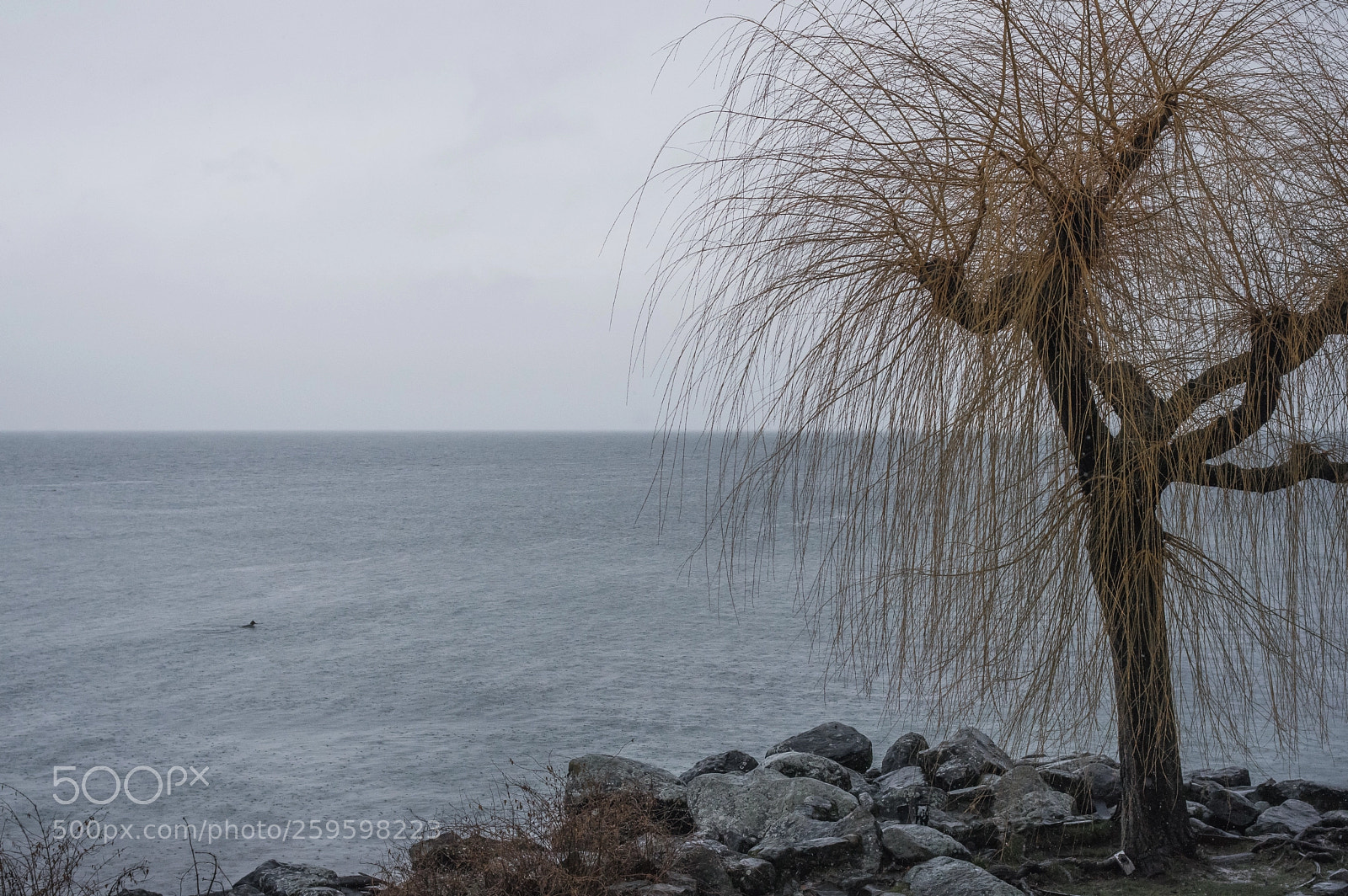 Pentax K-3 sample photo. Tranquility photography