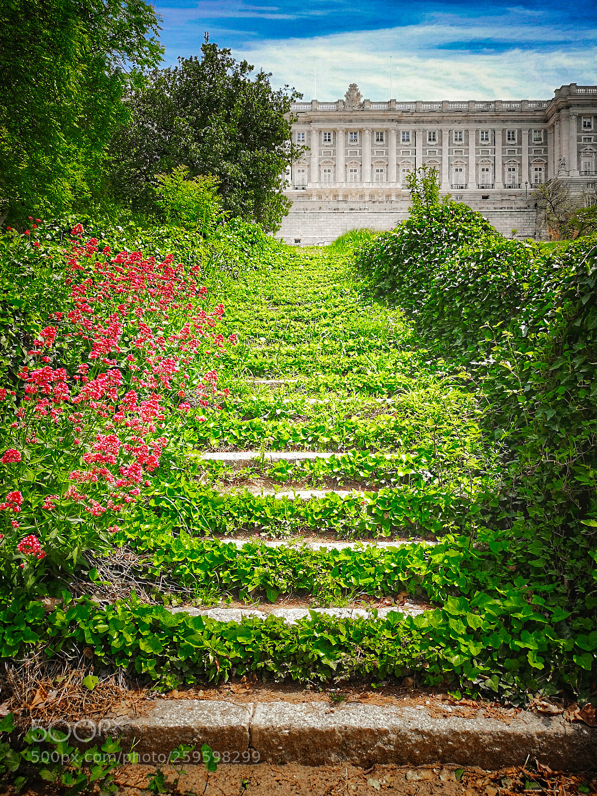 HUAWEI CLT-L29 sample photo. Palace garden photography