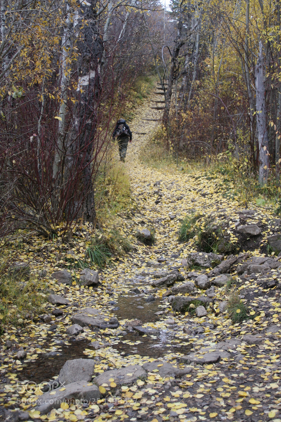 Canon EOS 30D sample photo. Hiking near bozeman montana photography