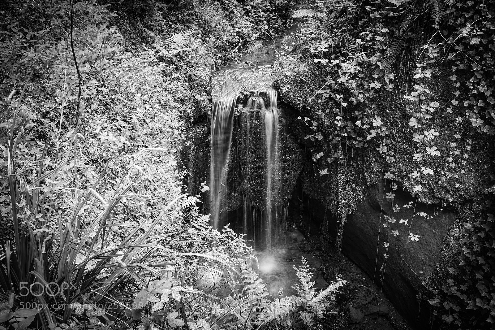 Nikon D750 sample photo. Shanklin chine waterfall photography