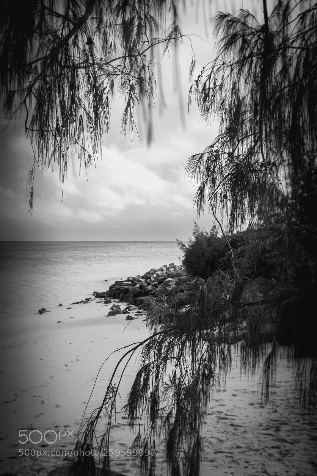 Canon EOS 77D (EOS 9000D / EOS 770D) sample photo. Heron island photography