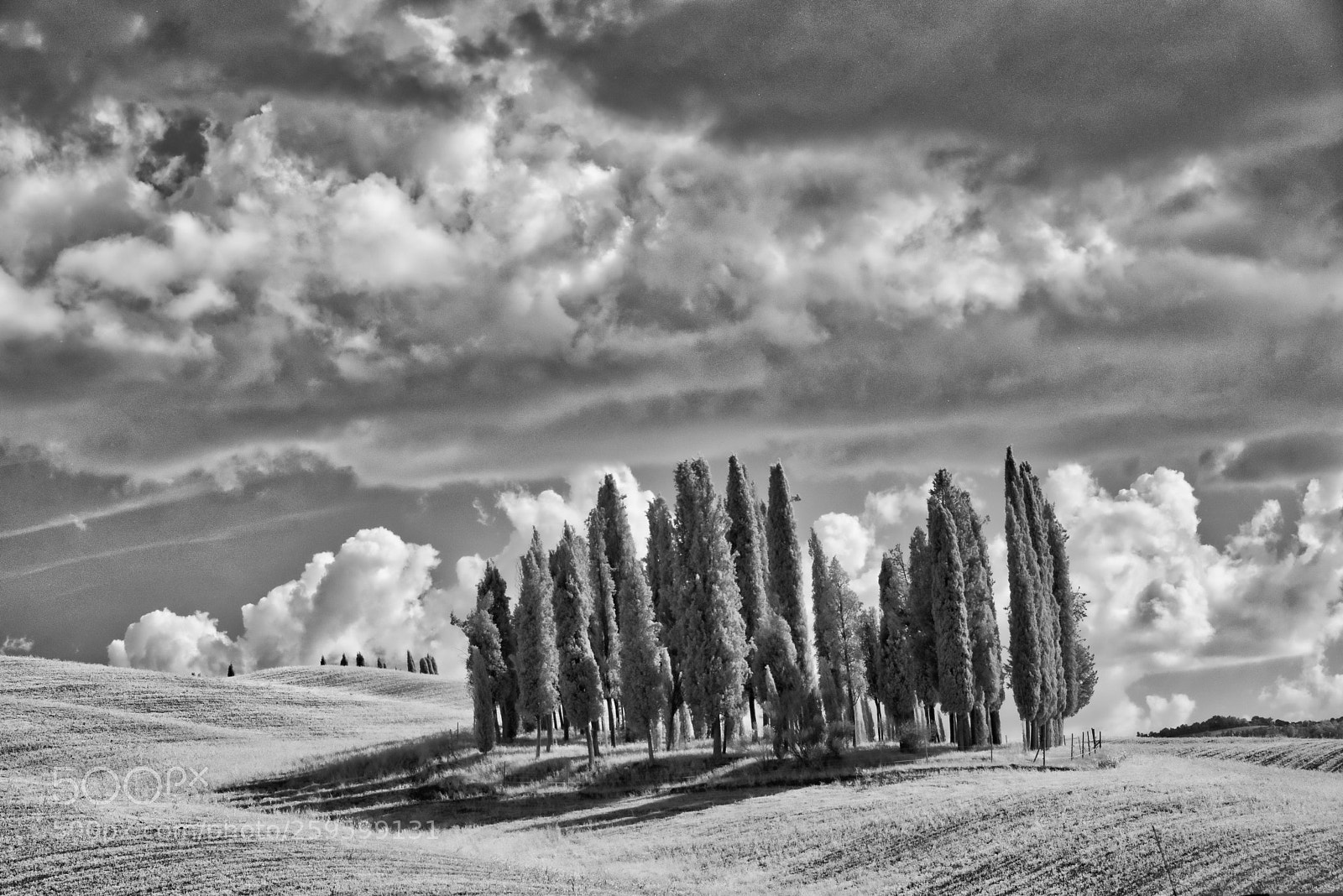 Nikon D800 sample photo. Val d orcia, tuscany photography
