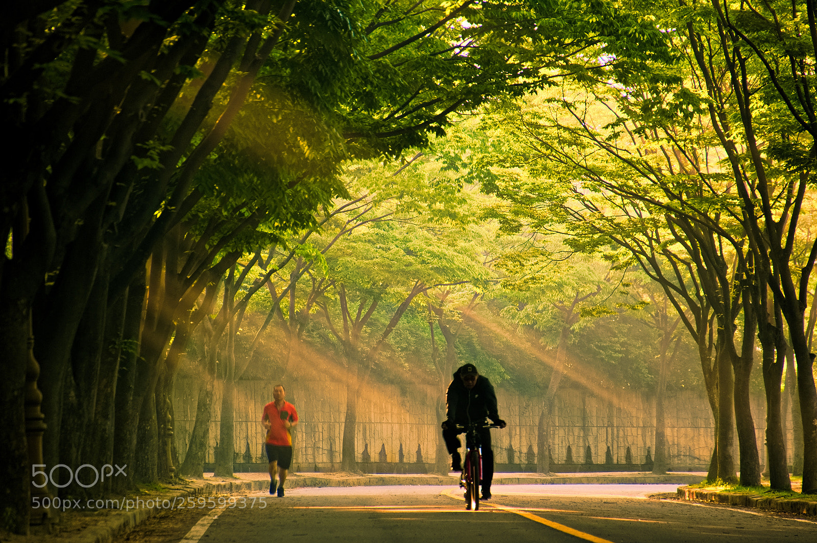 Nikon D500 sample photo. A bright morning photography