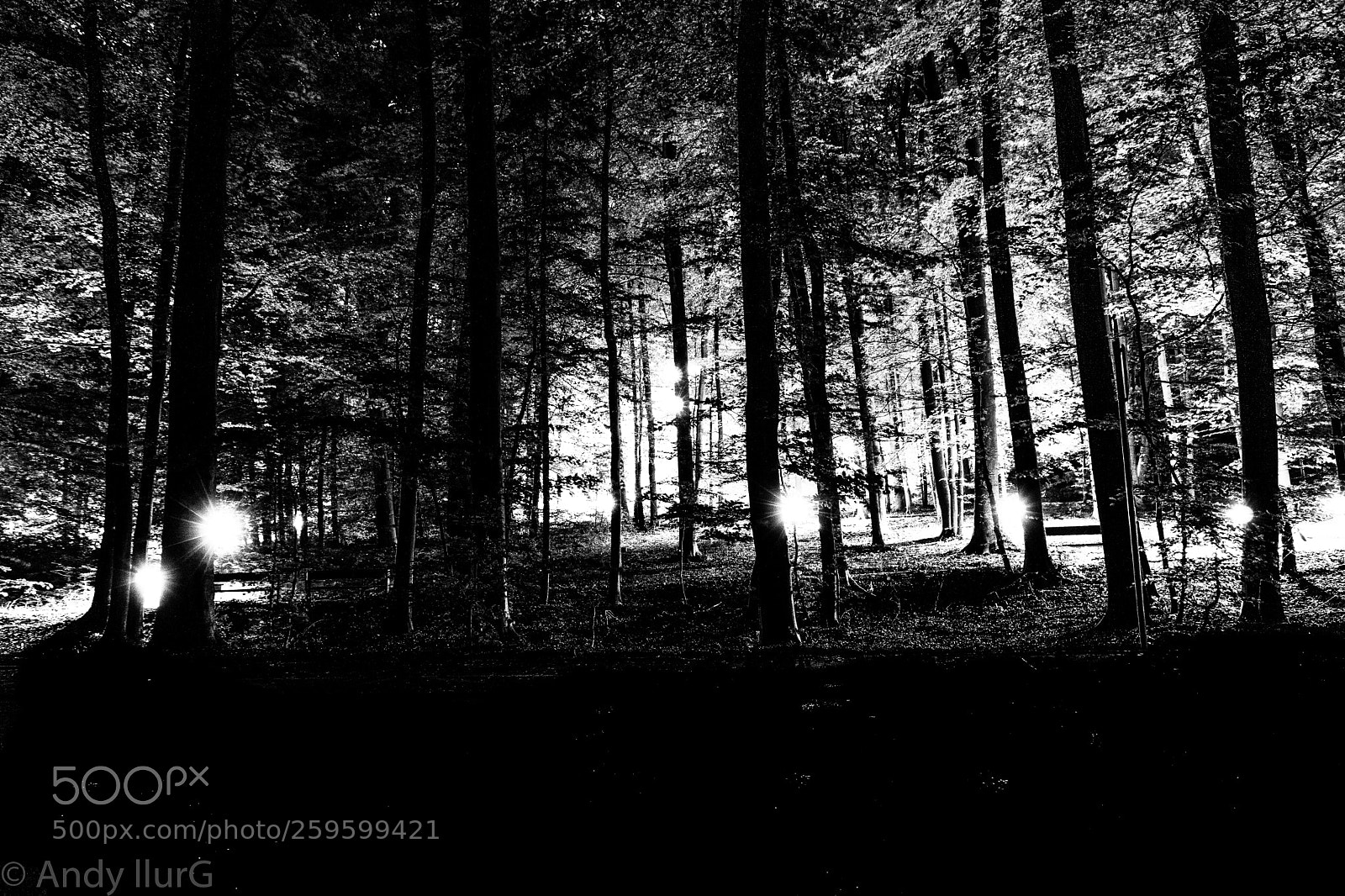 Sony ILCA-77M2 sample photo. Blairwitch photography