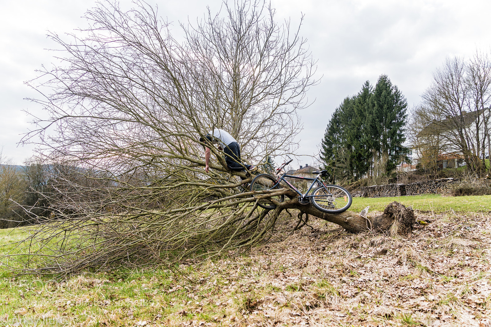 Sony ILCA-77M2 sample photo. Crash photography