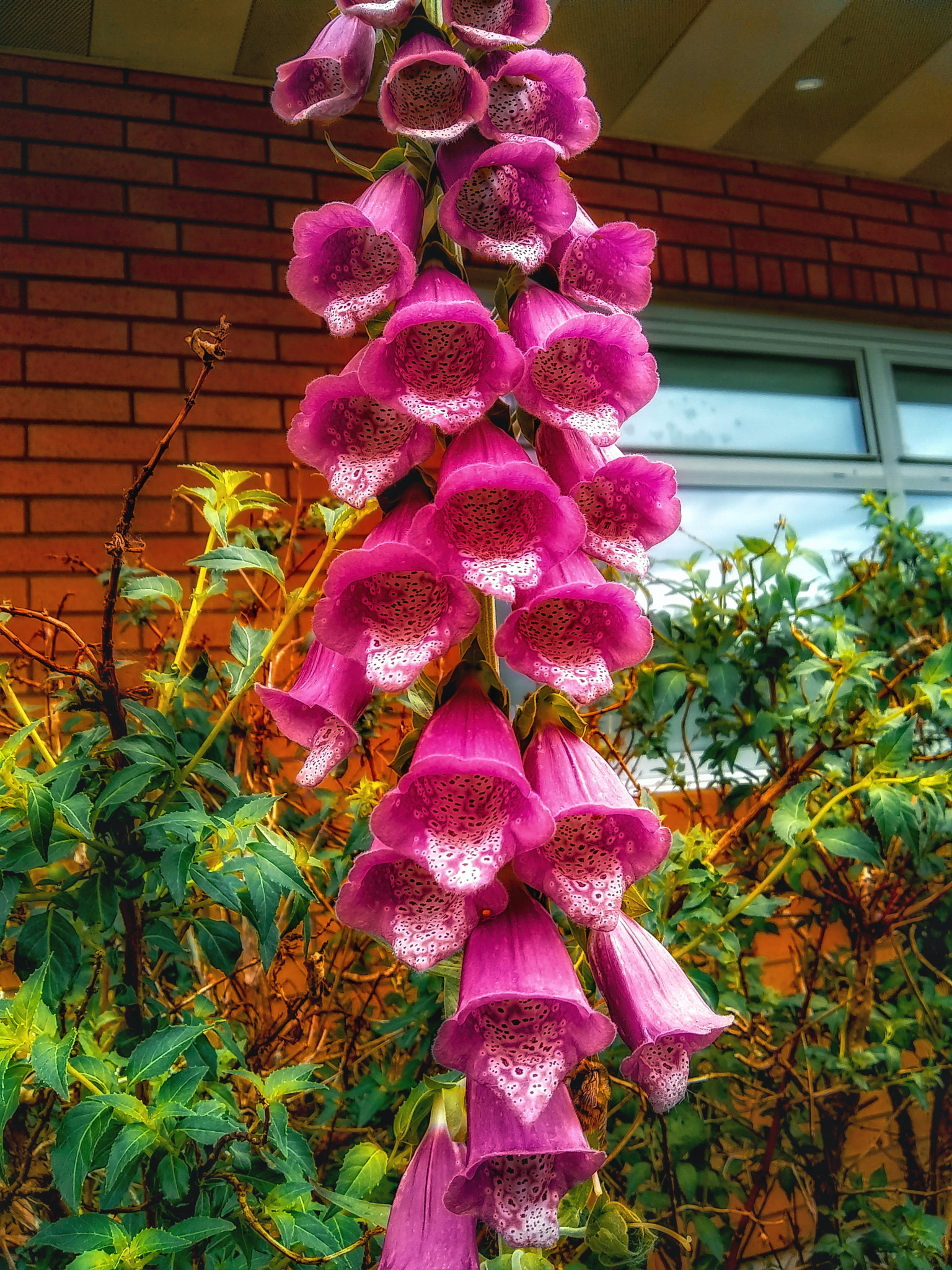 Motorola Moto E4 sample photo