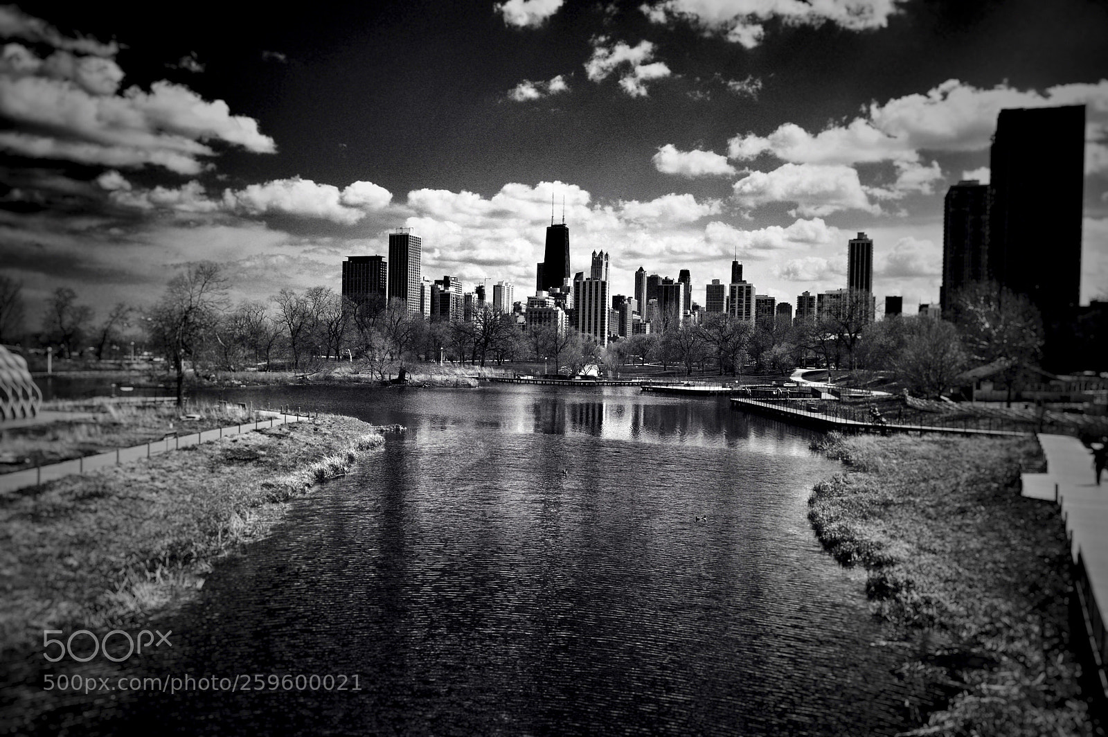Nikon D3200 sample photo. The chicago tourist... photography