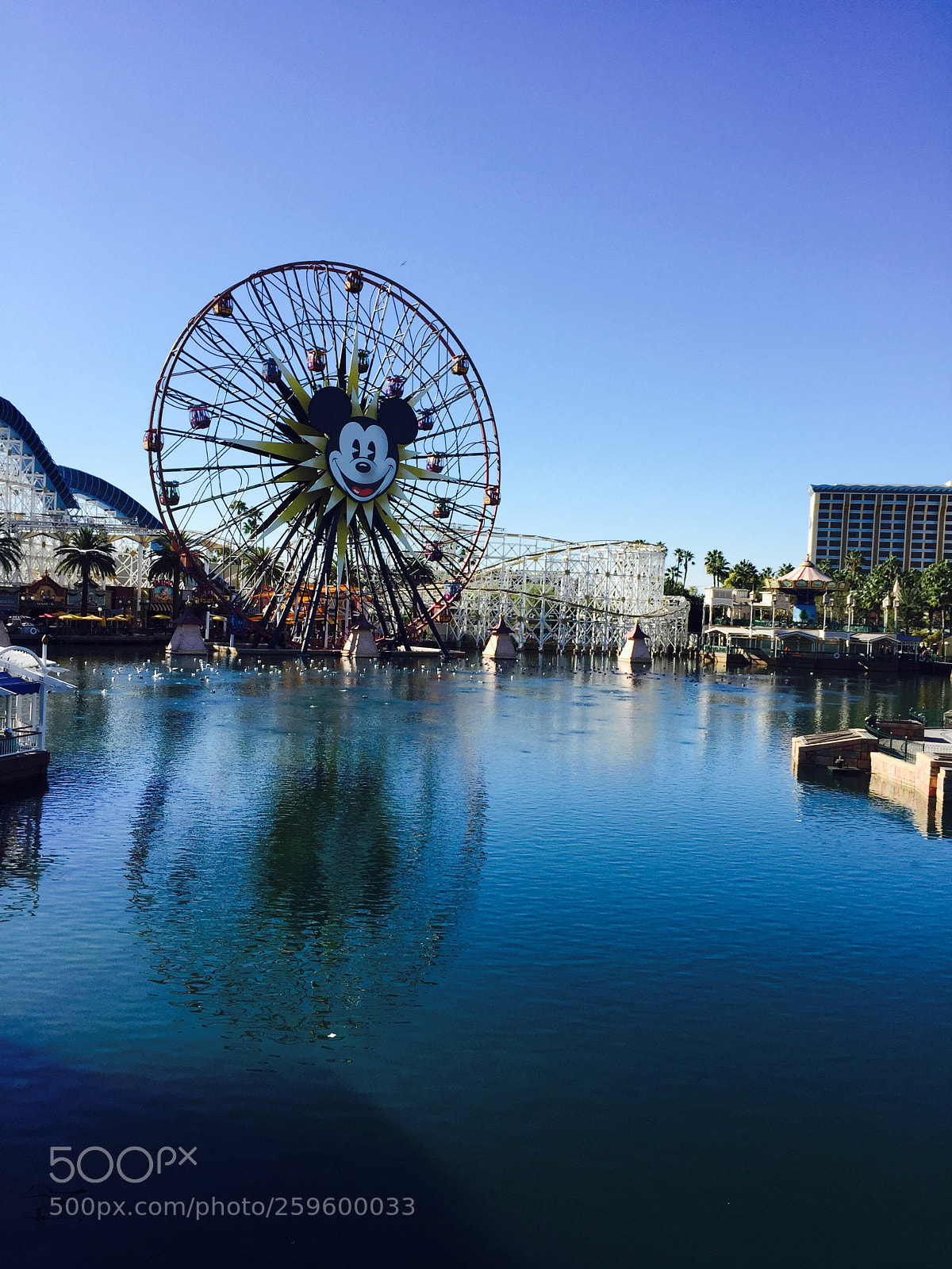 Apple iPhone 6 sample photo. Aventure photography