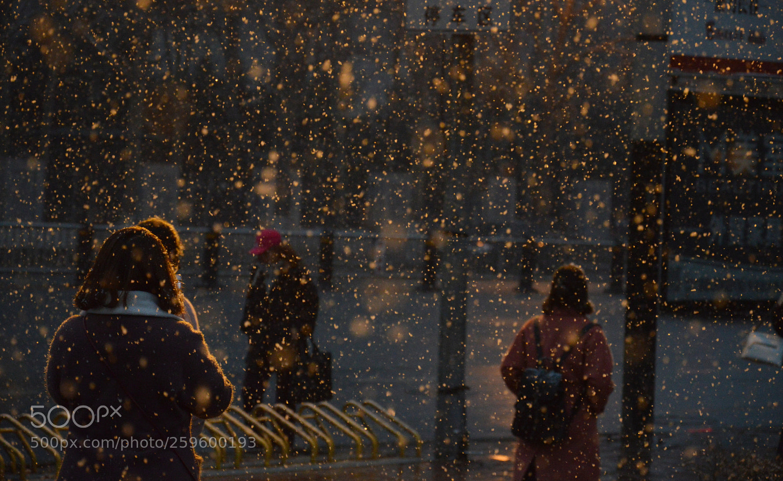Nikon D3200 sample photo. April snow photography