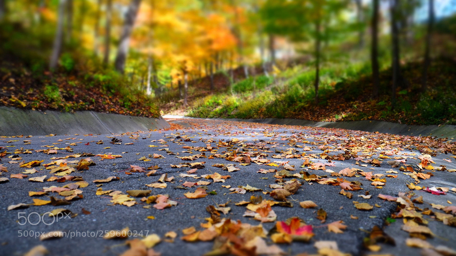 Fujifilm X-T1 sample photo. Fall trail photography