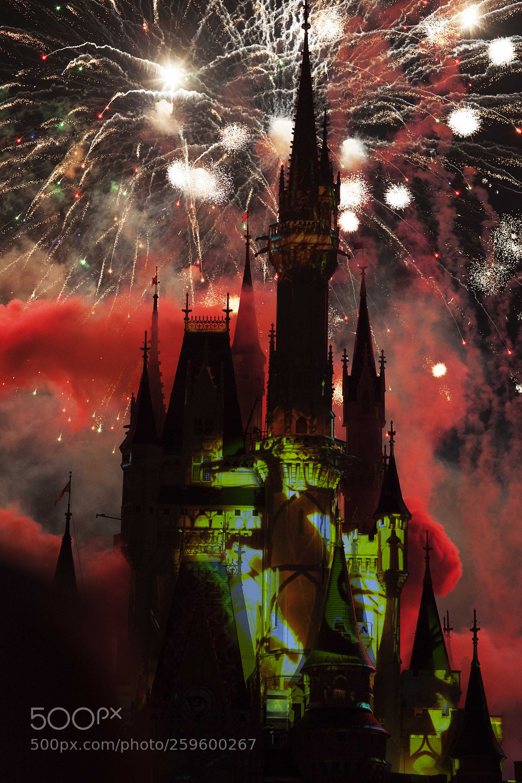 Canon EOS 5D Mark II sample photo. Disney dragon castle photography
