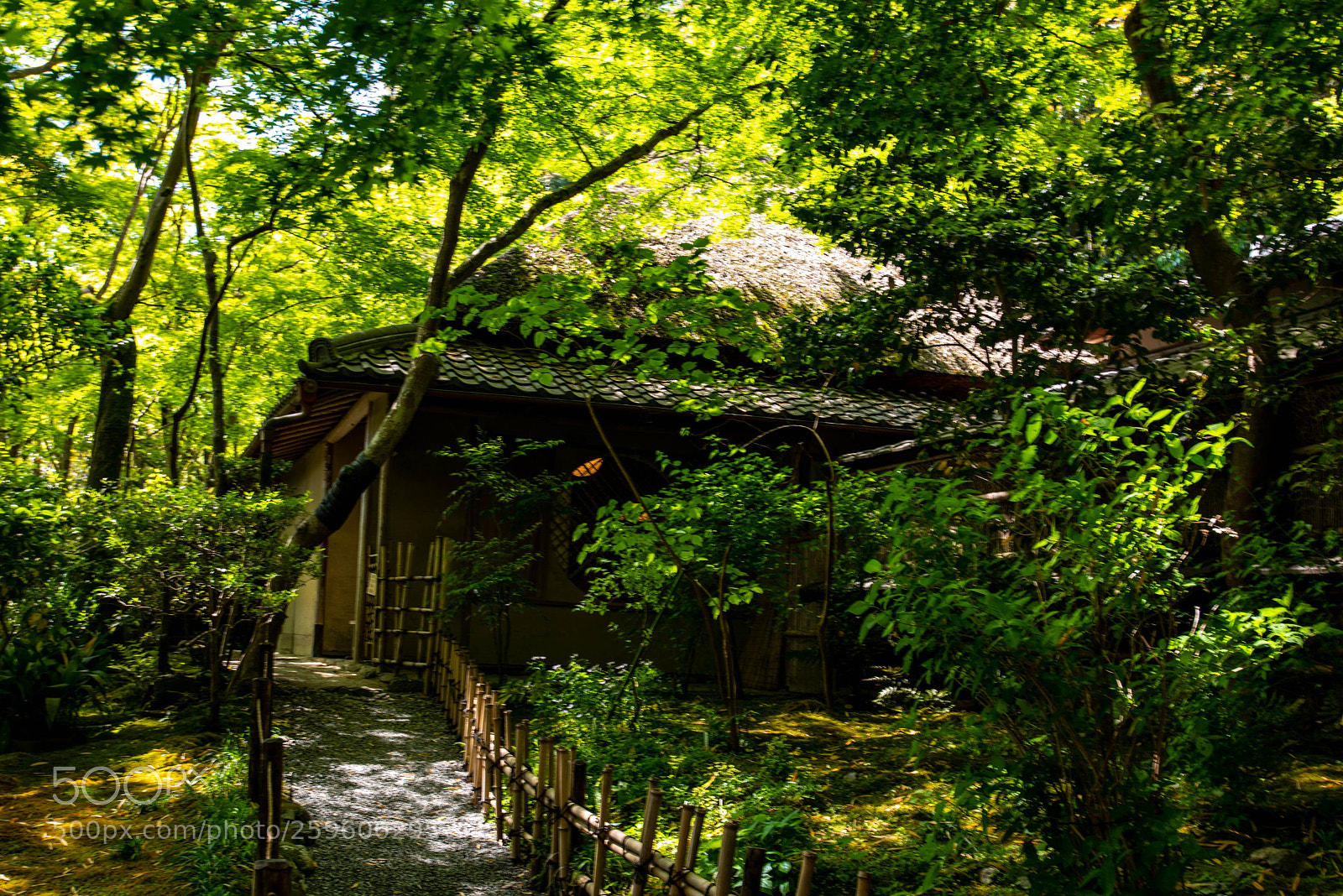 Nikon D810 sample photo. Small house in a photography