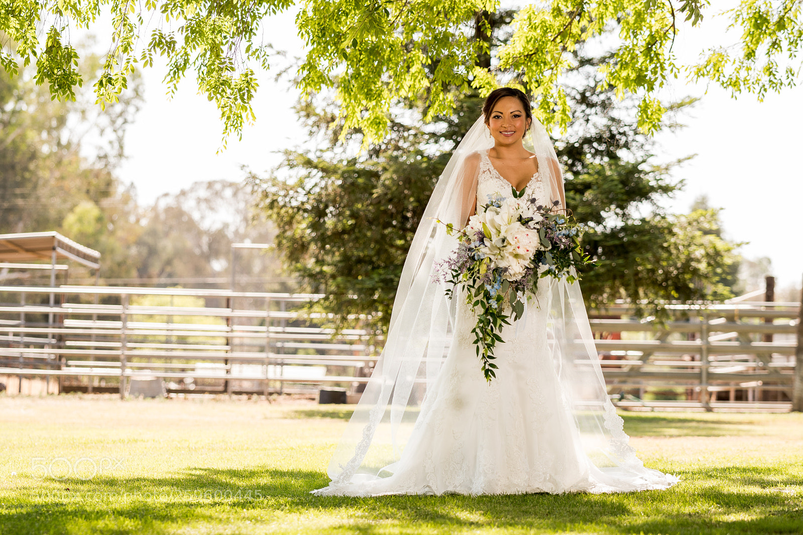 Nikon D7500 sample photo. Dona may photography