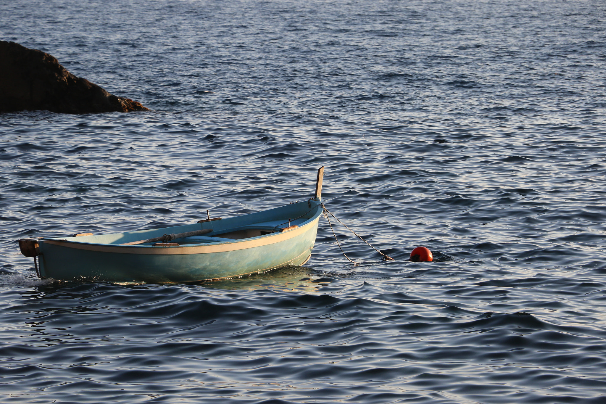 Canon EOS 7D Mark II sample photo. Still photography