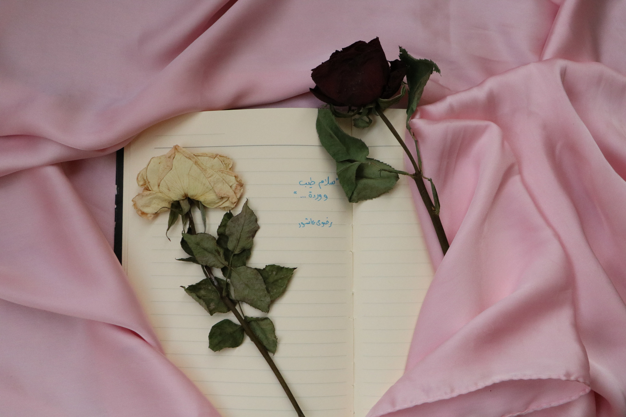 Canon EOS 750D (EOS Rebel T6i / EOS Kiss X8i) sample photo. Letter photography