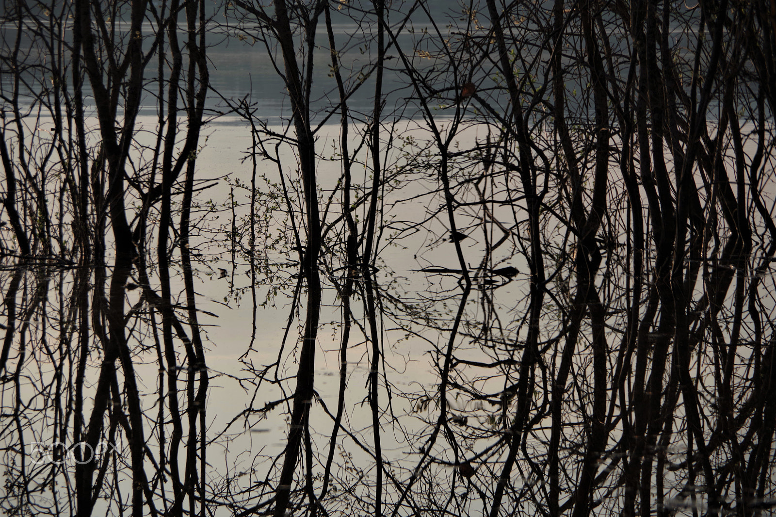Pentax K-70 sample photo. Flood 2 photography