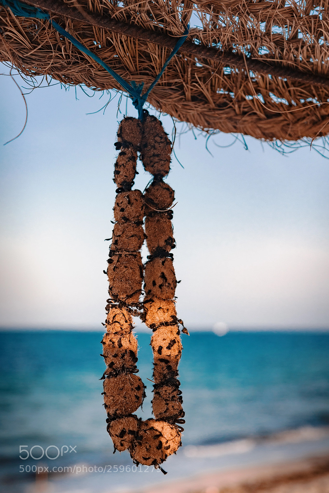 Canon EOS 7D Mark II sample photo. Wracklace photography