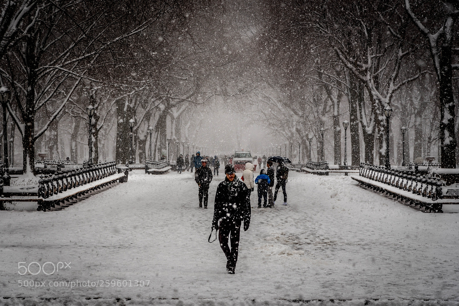 Nikon D750 sample photo. Snow storm in new photography