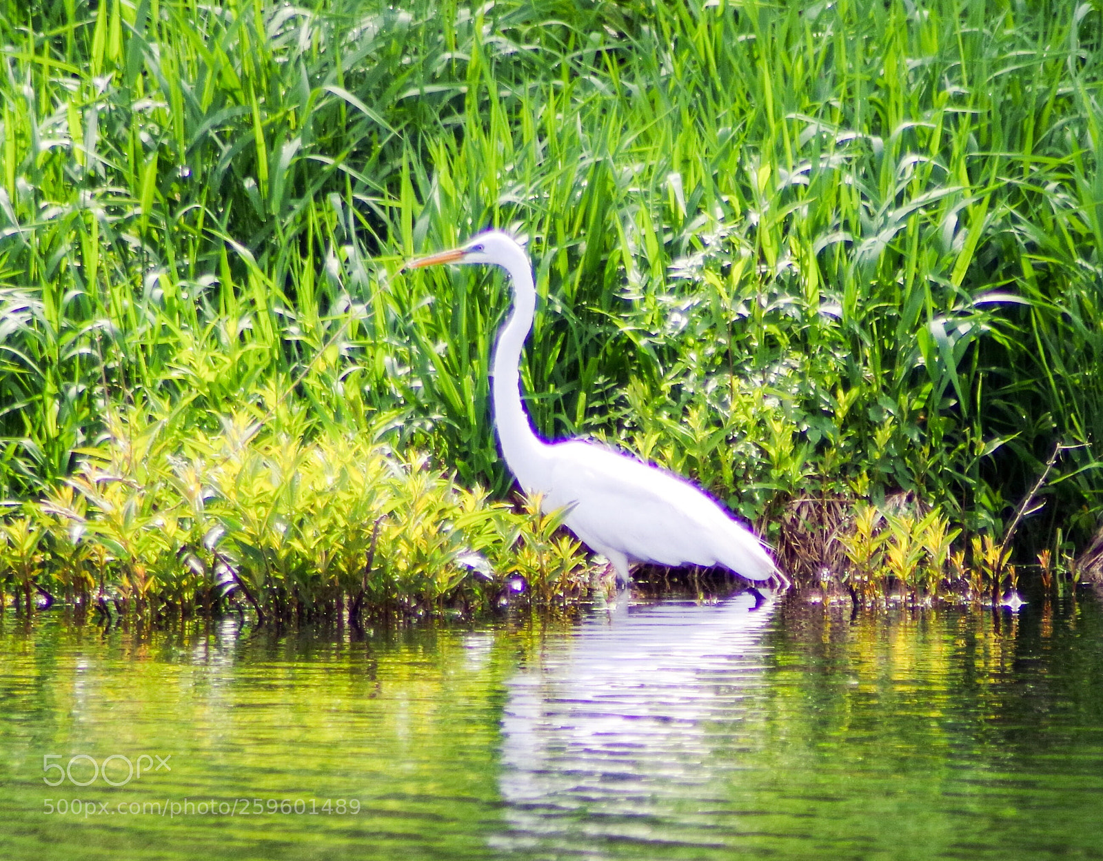 Pentax K-70 sample photo. Untitled photography