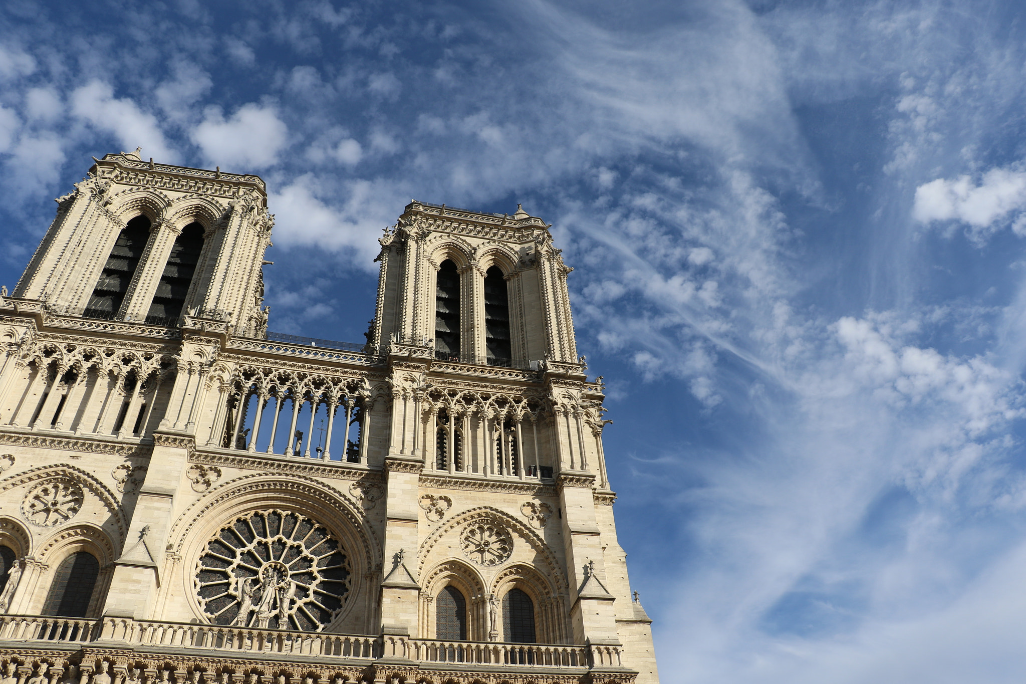 Canon EOS 7D Mark II sample photo. Look up photography
