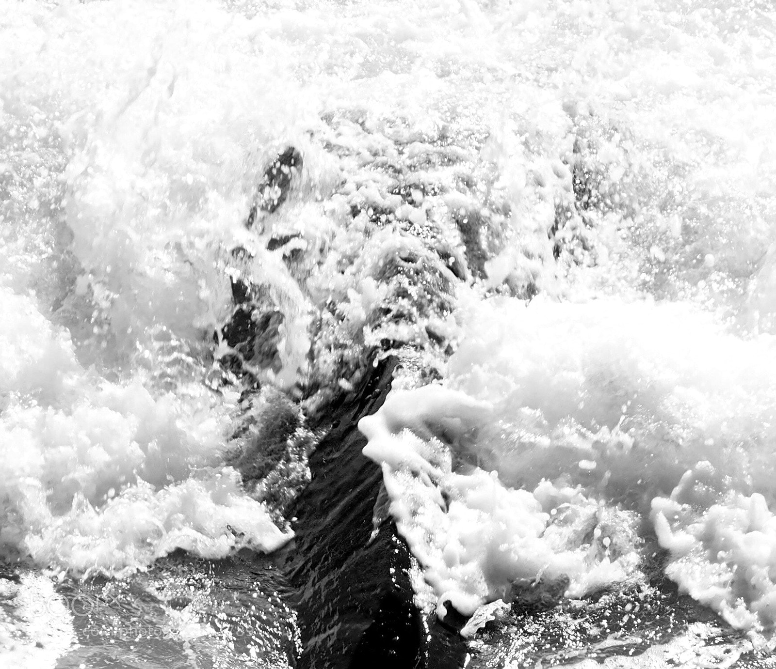 Olympus OM-D E-M10 sample photo. Black and white photography