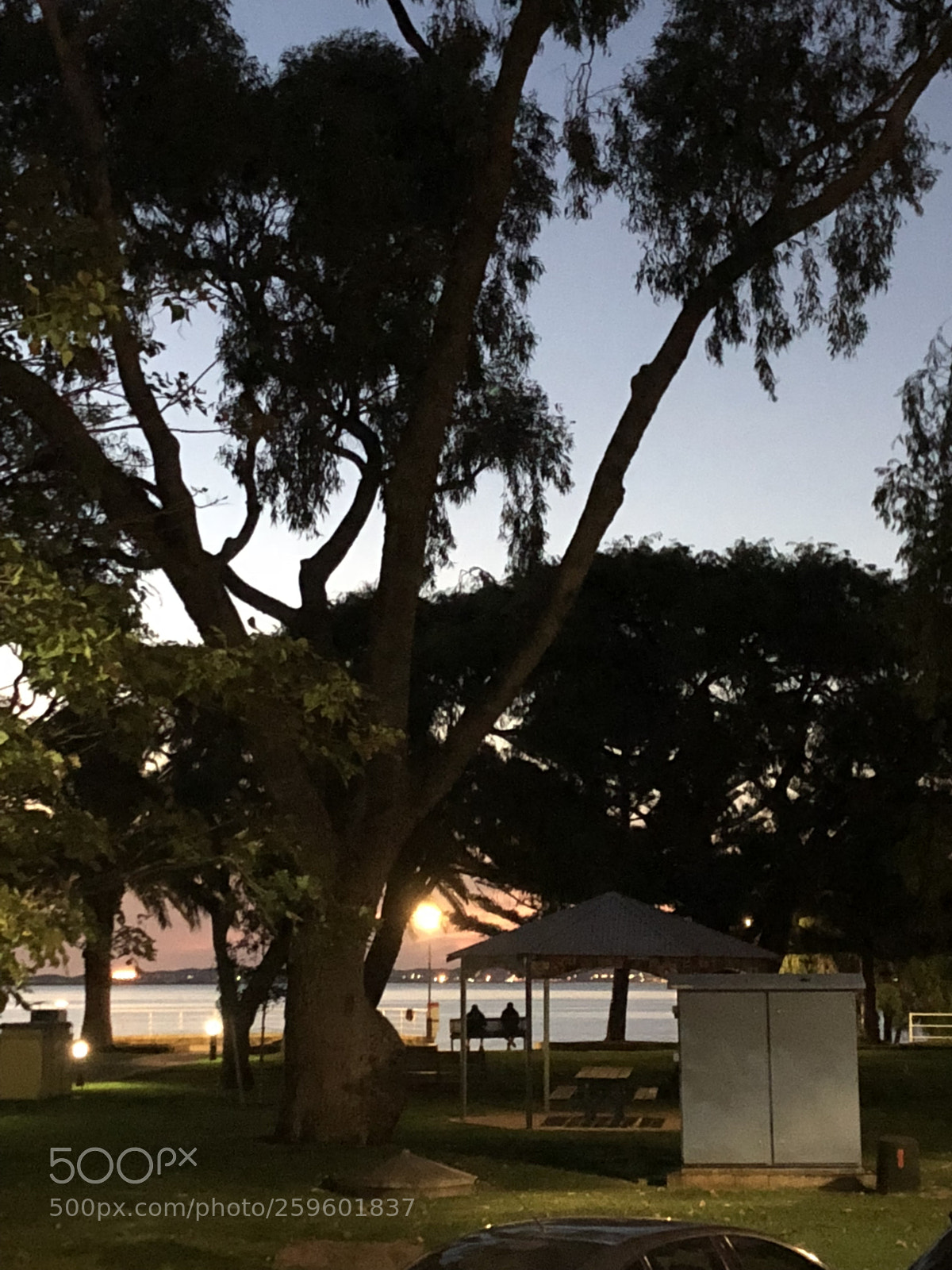 Apple iPhone 8 Plus sample photo. Foreshore photography