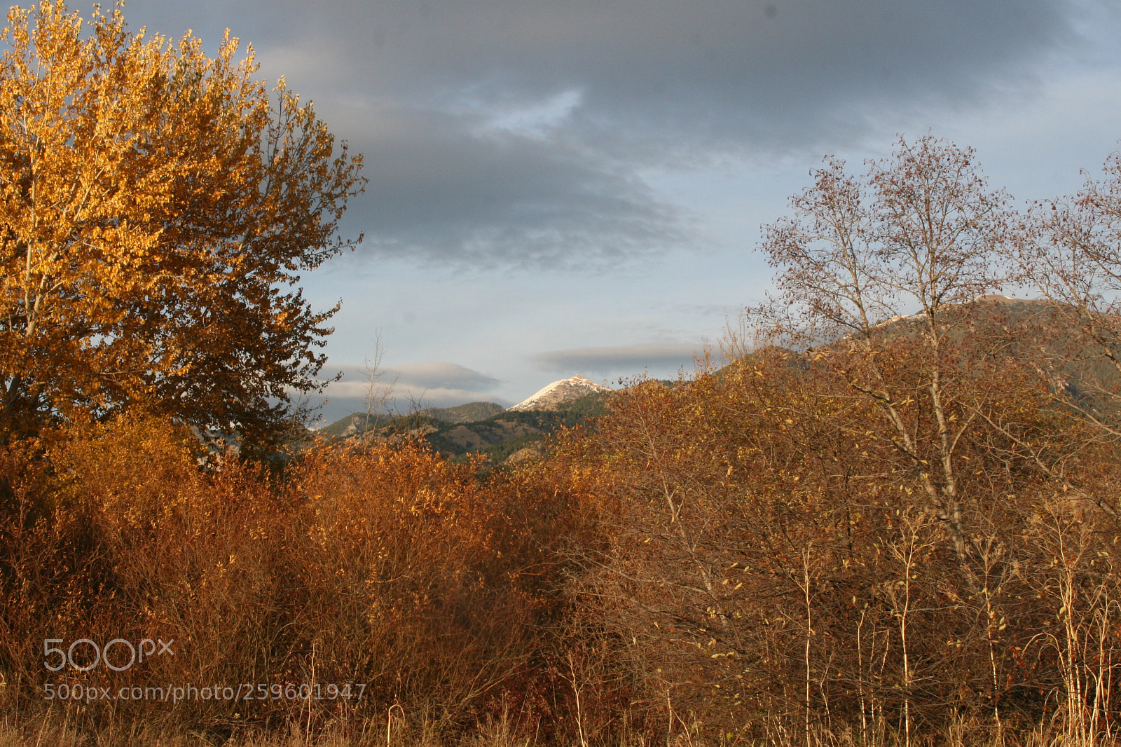 Canon EOS 30D sample photo. Montana forest and mountains photography
