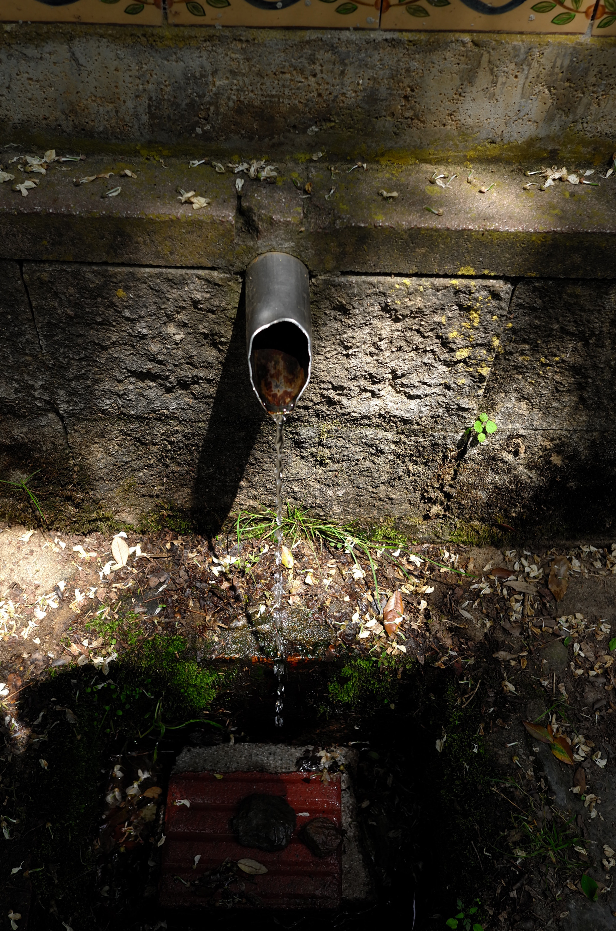 Leica X (Typ 113) sample photo. Suspended water. photography