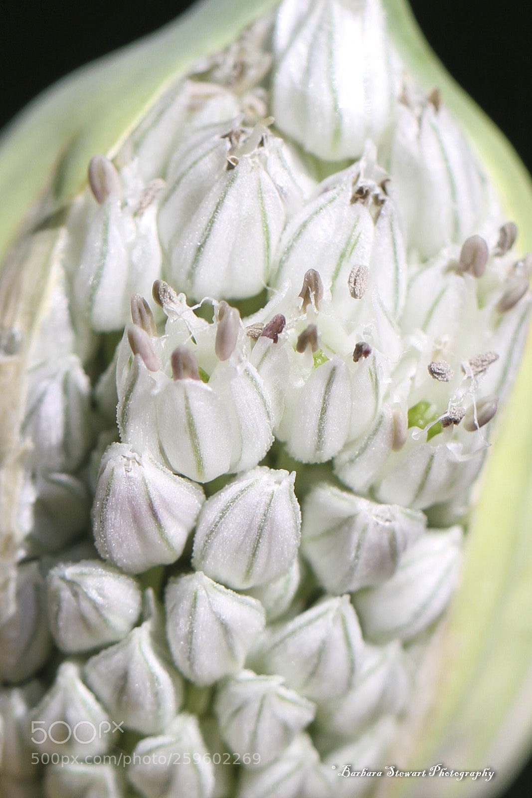 Canon EOS 7D sample photo. Looks of spring photography