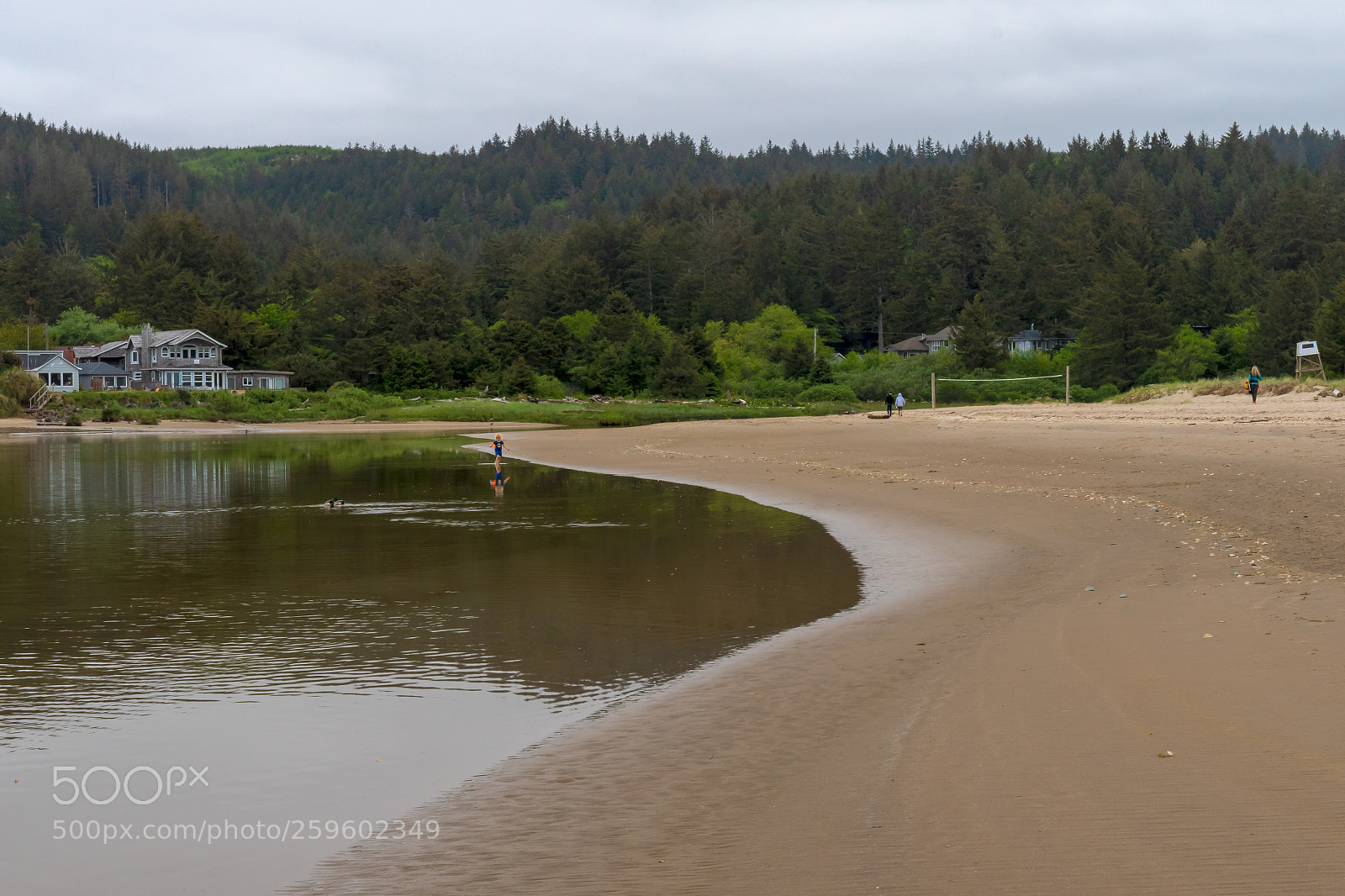 Nikon D500 sample photo. Longing for summer, cannon photography