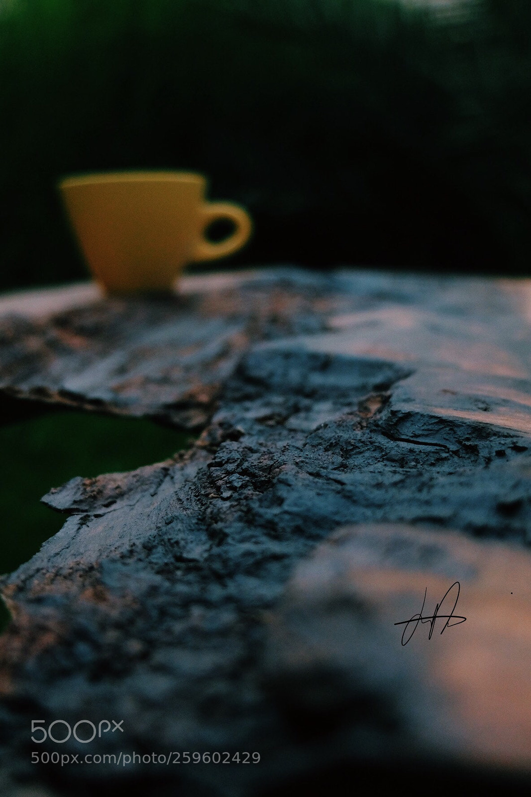 Fujifilm X30 sample photo. Wood photography
