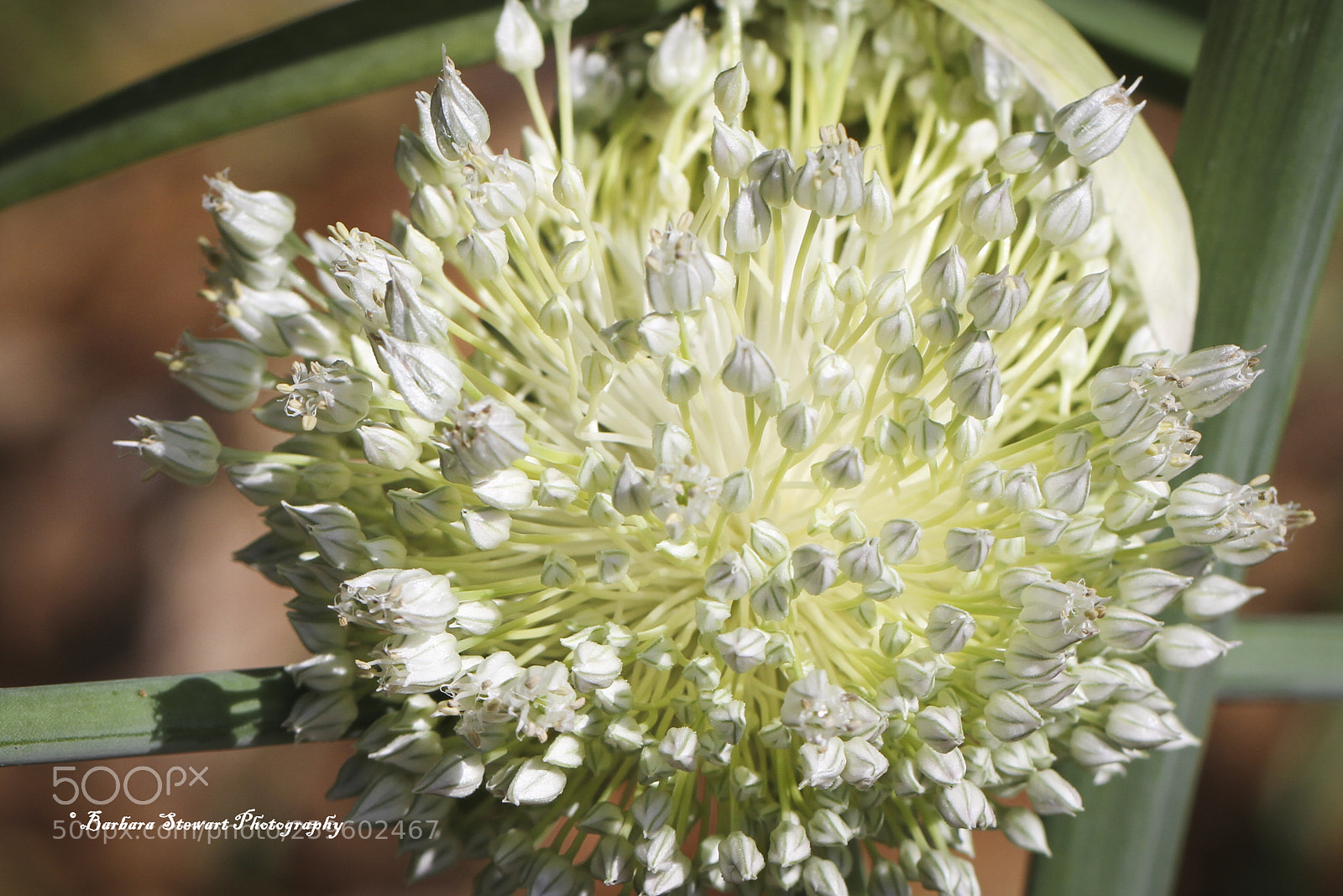 Canon EOS 7D sample photo. Looks of spring photography