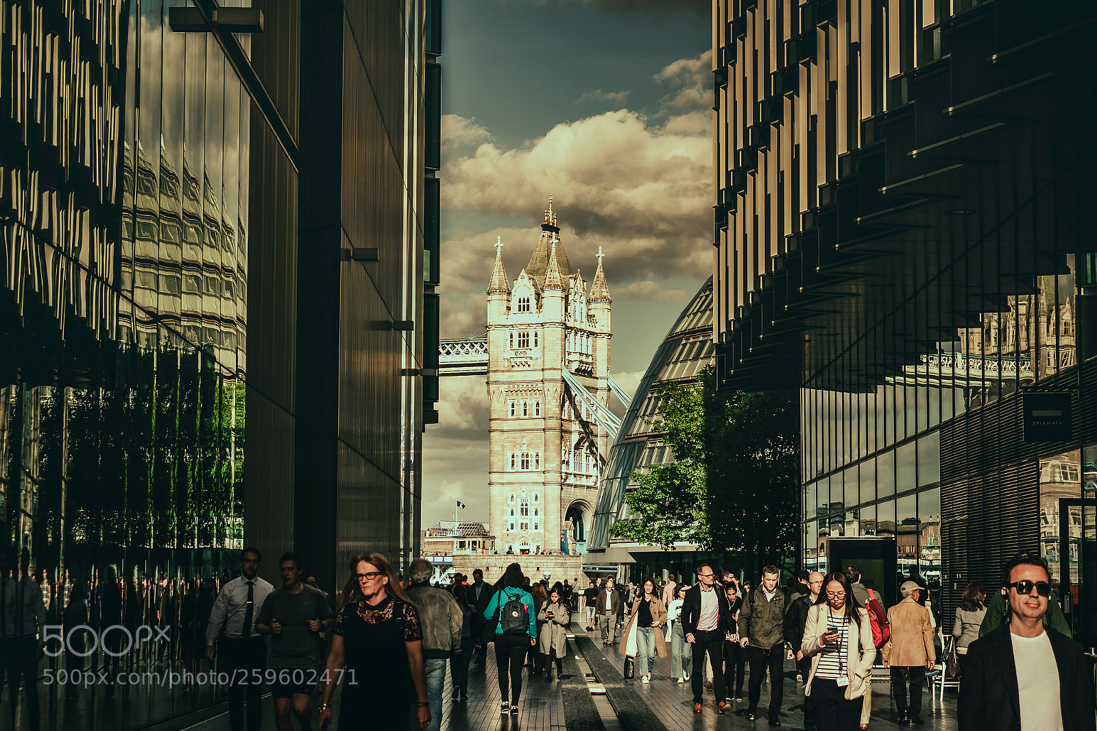 Nikon D3400 sample photo. Tower bridge photography
