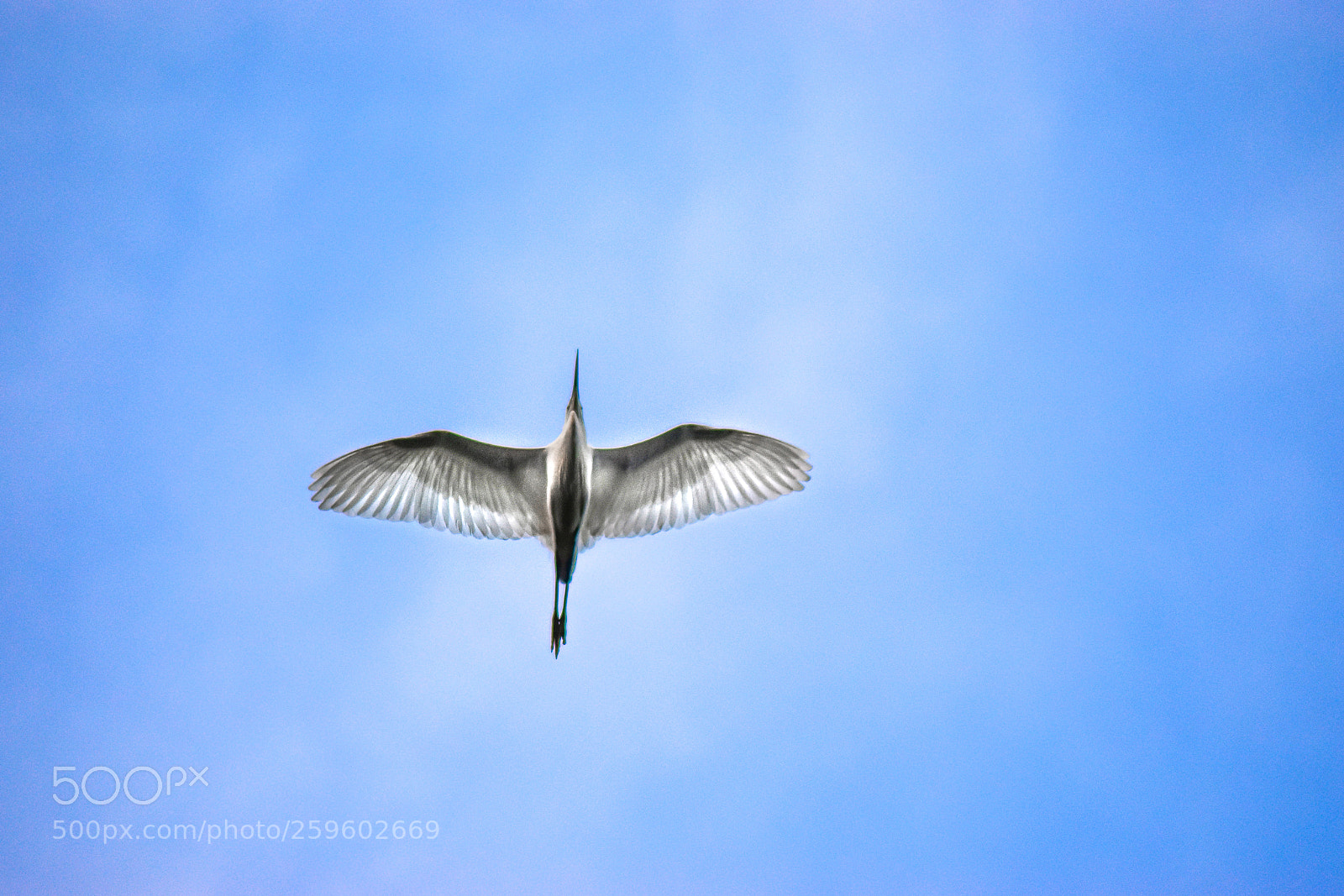 Nikon D5600 sample photo. Looking up photography