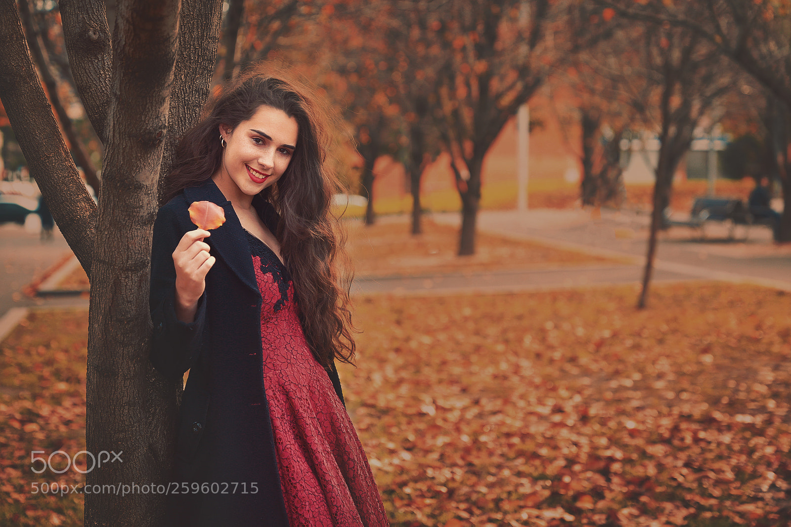 Canon EOS 6D sample photo. Scarlet photography