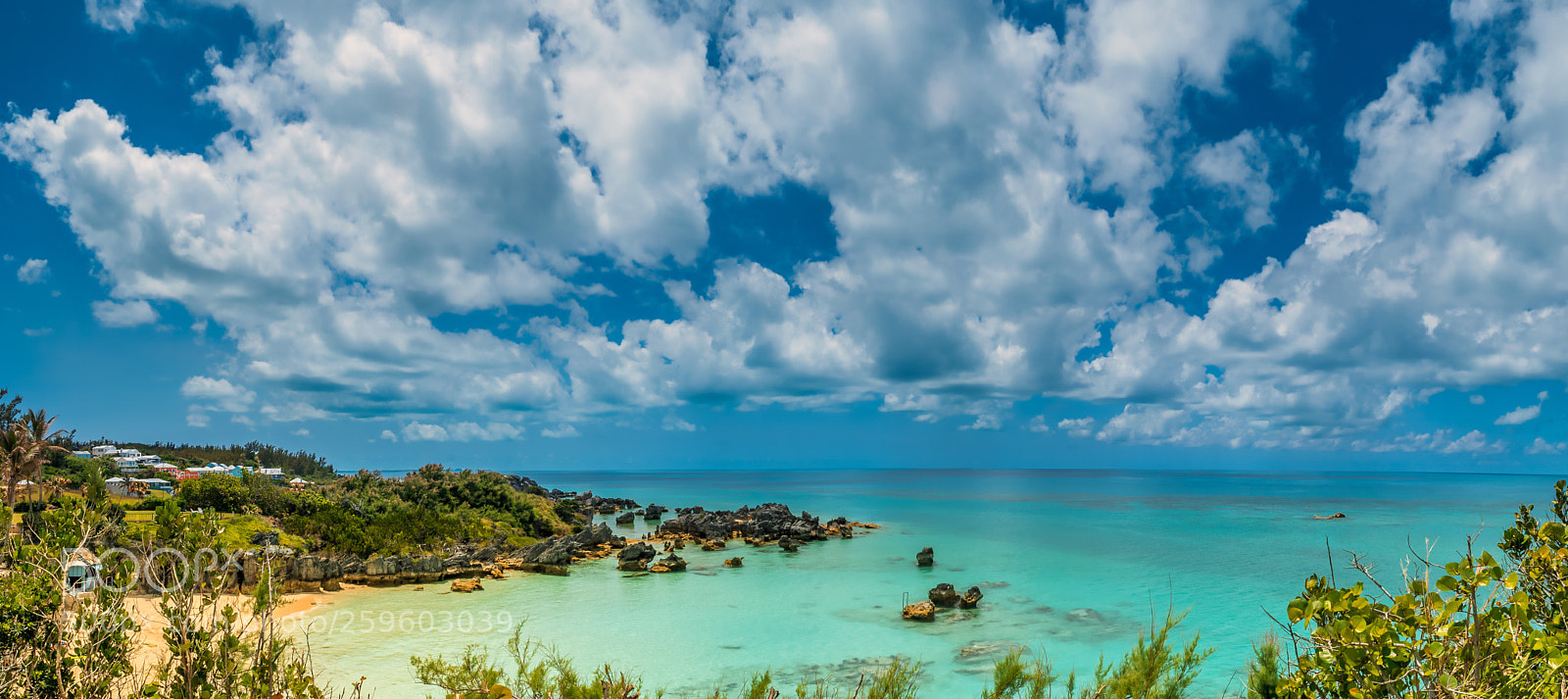 Nikon D750 sample photo. Bermuda  photography