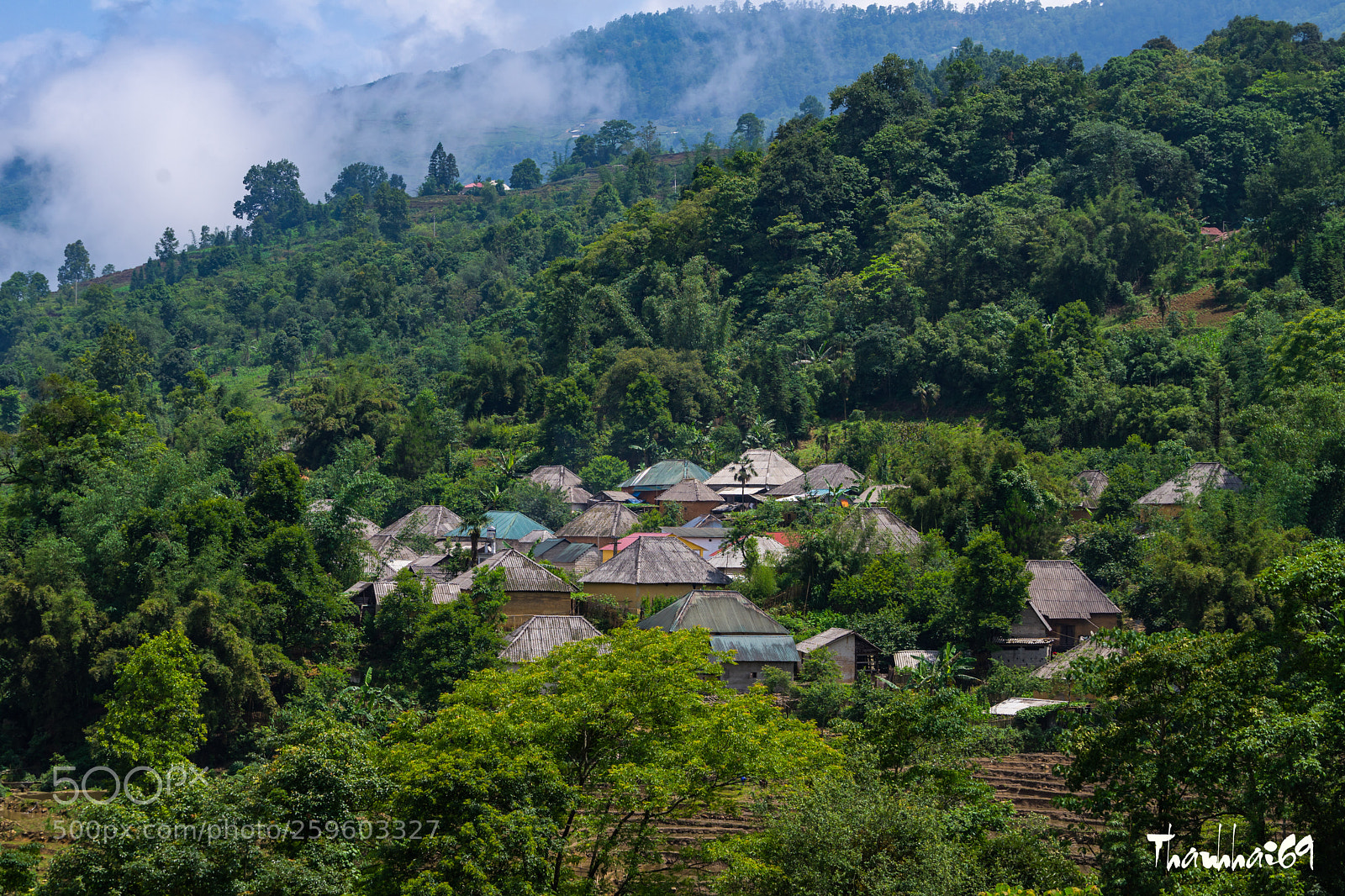 Sony a7 II sample photo. Untitled photography