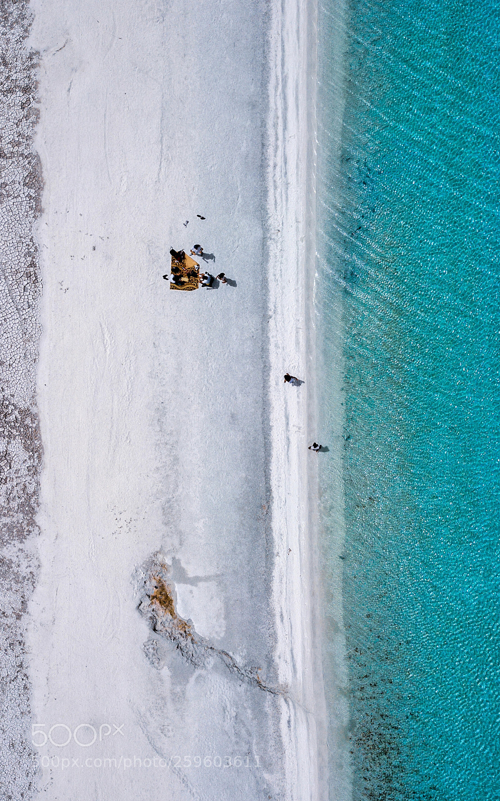 DJI FC220 sample photo. Untitled photography
