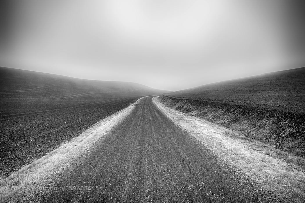 Sony a99 II sample photo. Infinity road photography