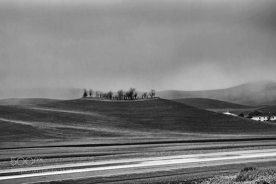 Sony a99 II sample photo. Morning fog in palouse photography