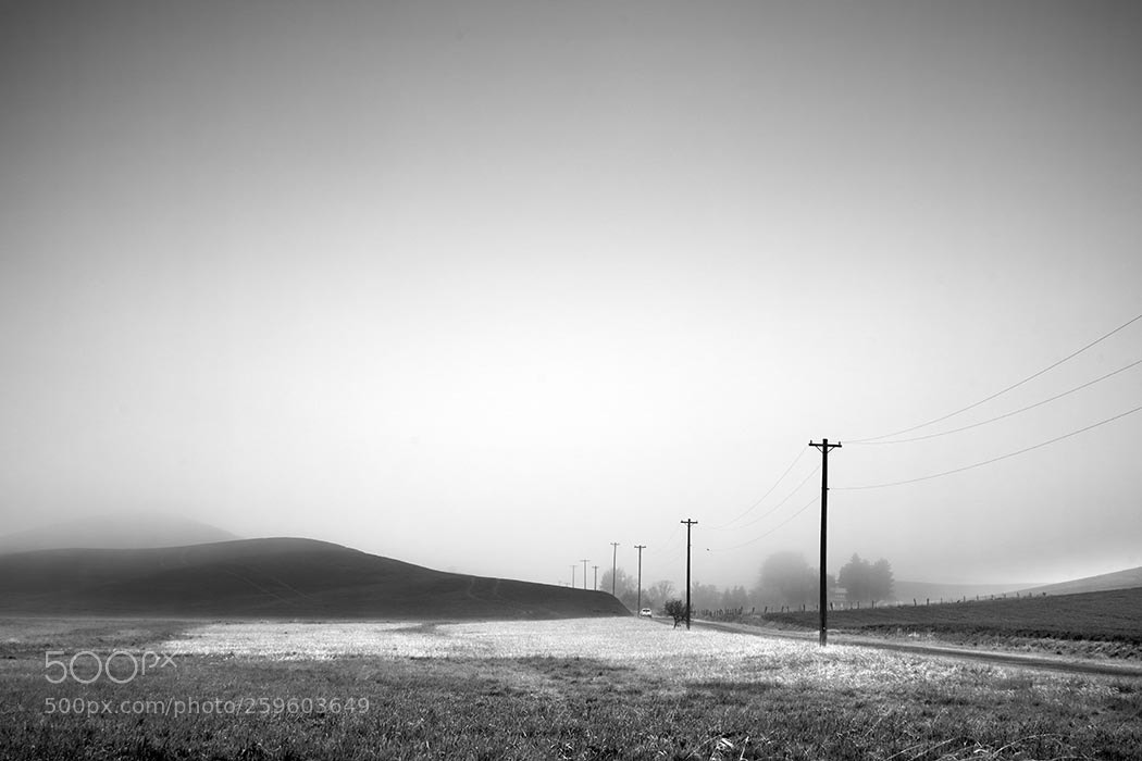 Sony a99 II sample photo. Morning fog photography