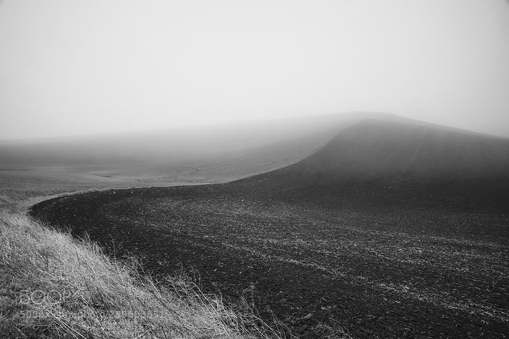 Sony a99 II sample photo. Morning fog photography