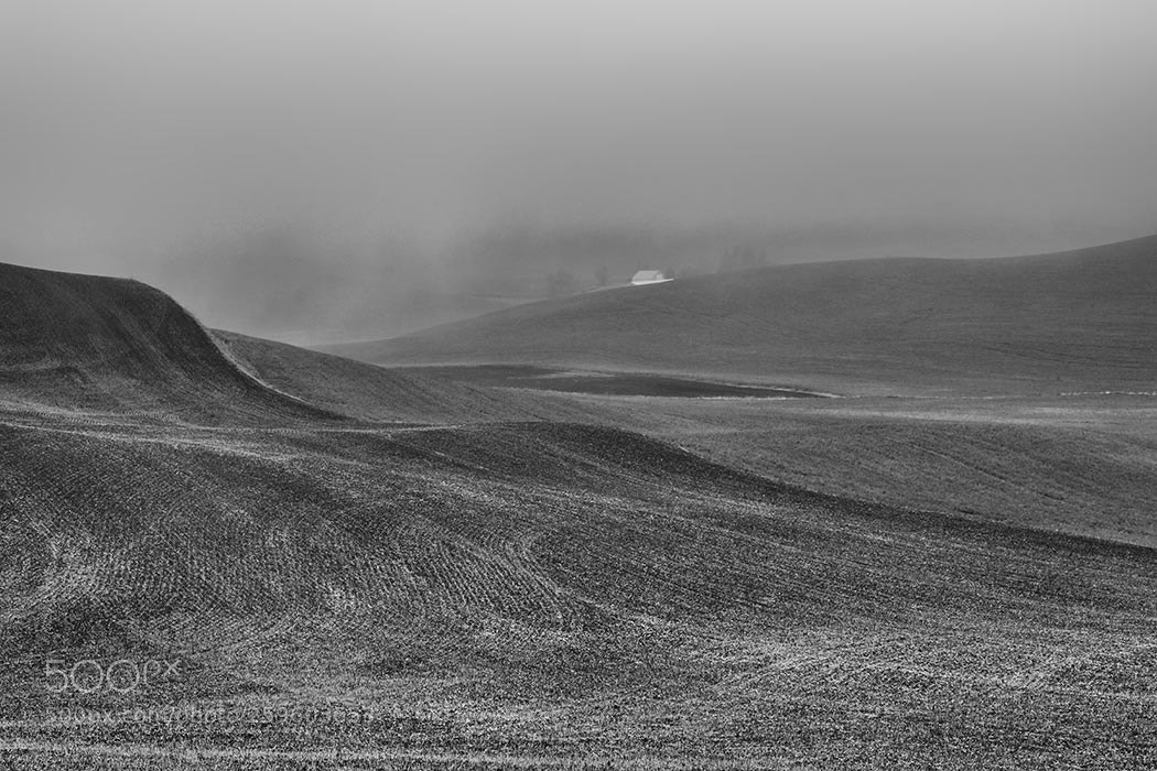 Sony SLT-A99V sample photo. Morning fog (palouse, washington) photography
