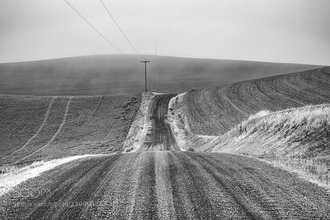 Sony a99 II sample photo. Morning fog (palouse, washington) photography