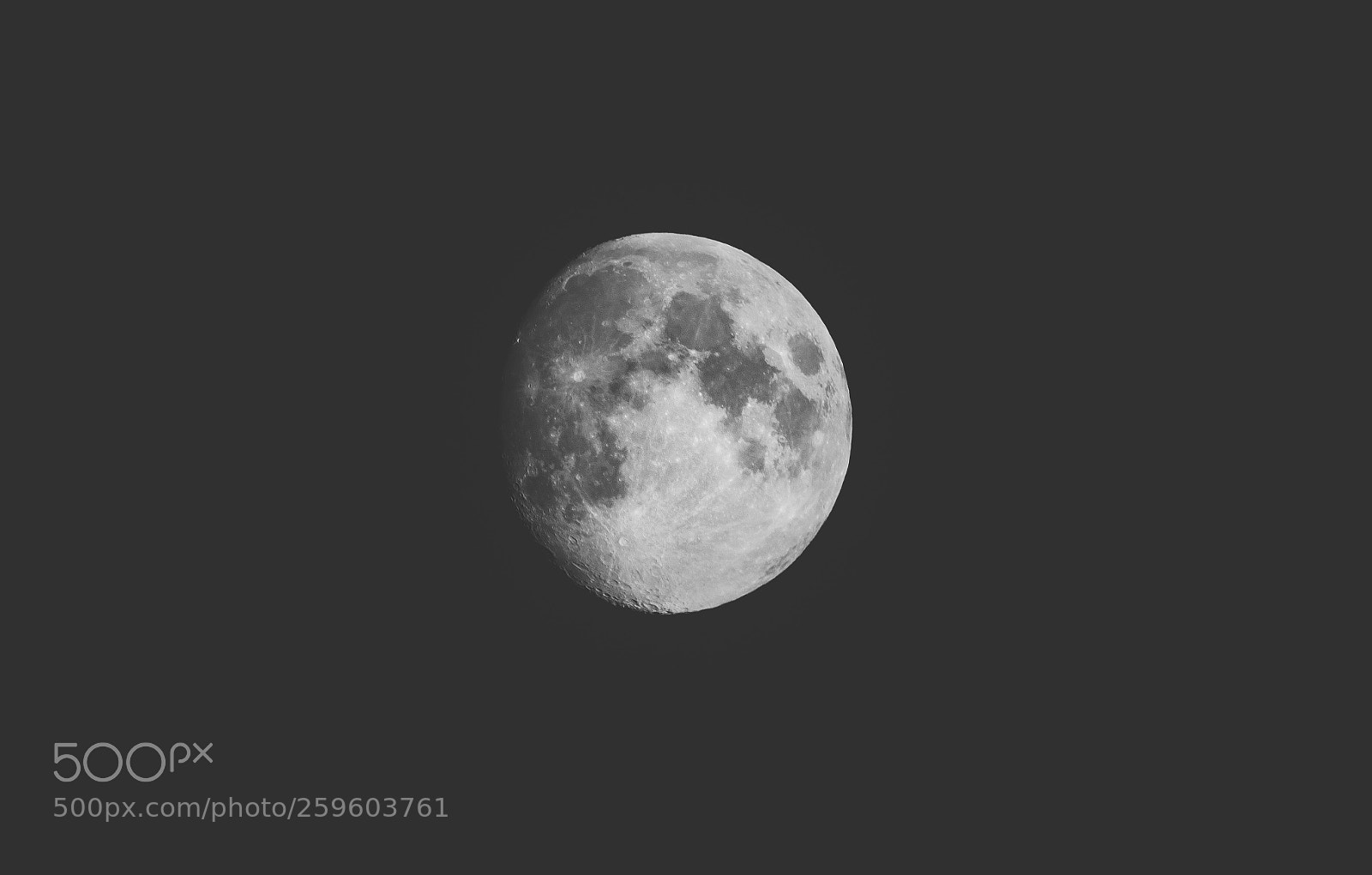 Nikon D810 sample photo. Moonshine photography