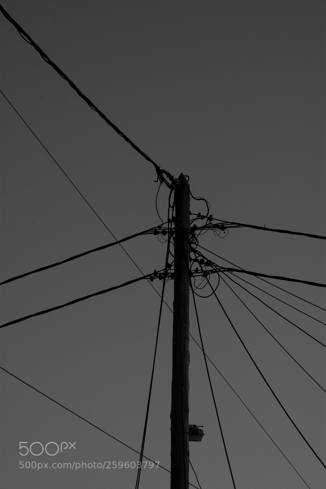 Nikon D7200 sample photo. Wires photography