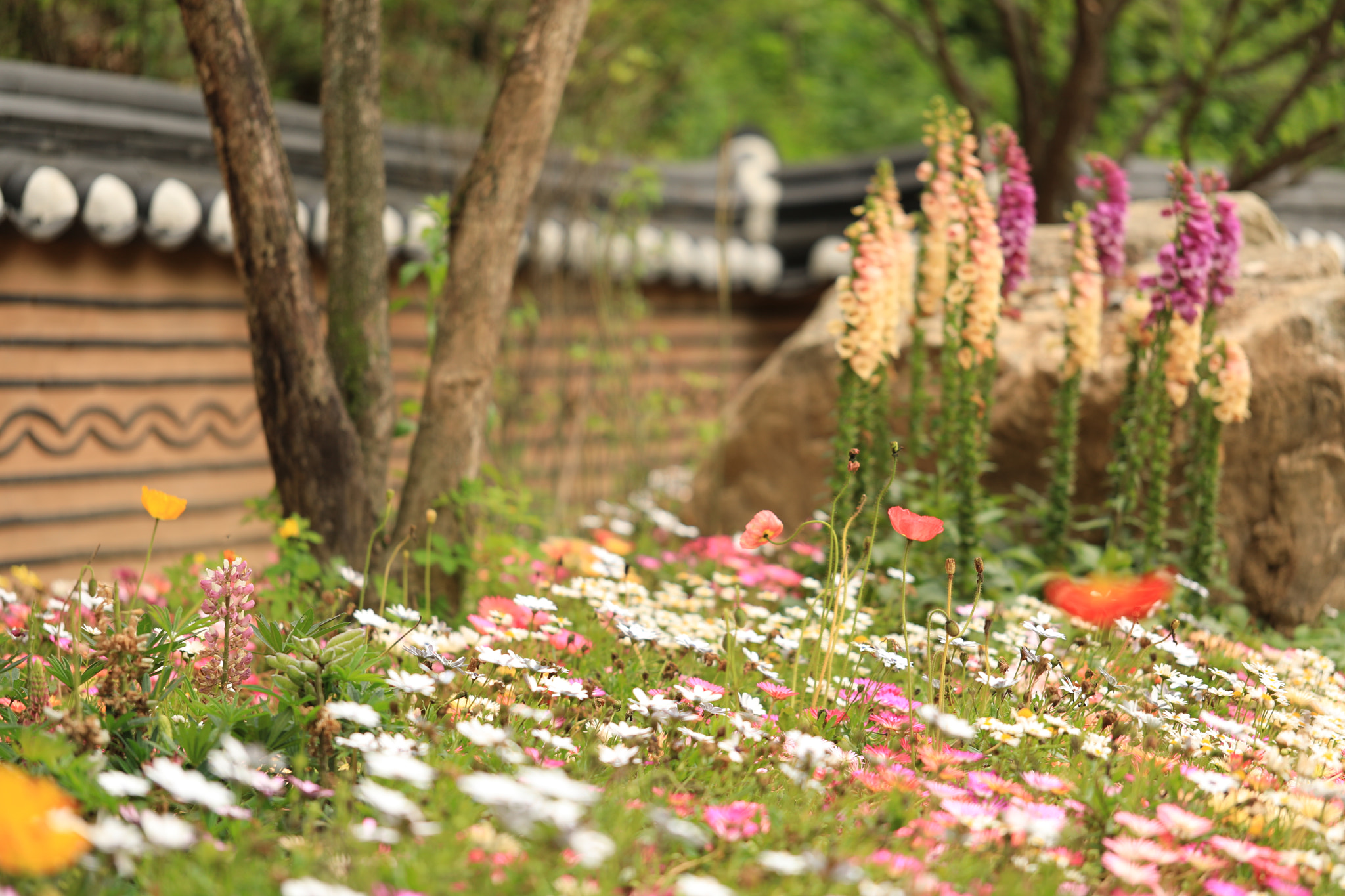 Canon EF 100mm F2.8L Macro IS USM sample photo. Traditional korean house photography